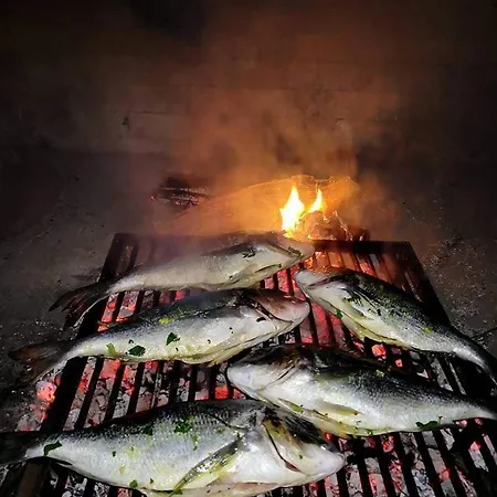 Strkalj Bibinje