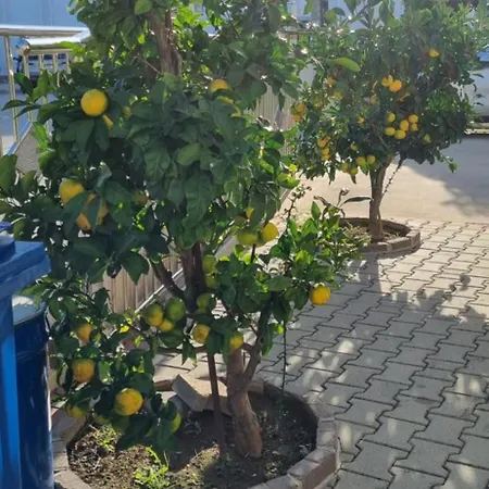 Strkalj Guest house Bibinje