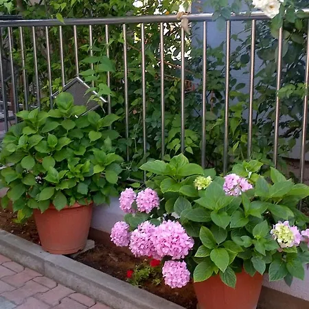 Strkalj Pensionat Bibinje