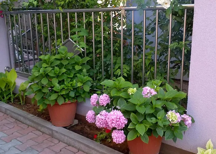 Strkalj Pensionat Bibinje